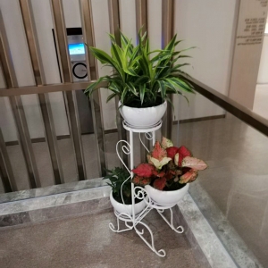 中型花架组合